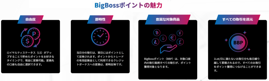 bigbossポイントの魅力