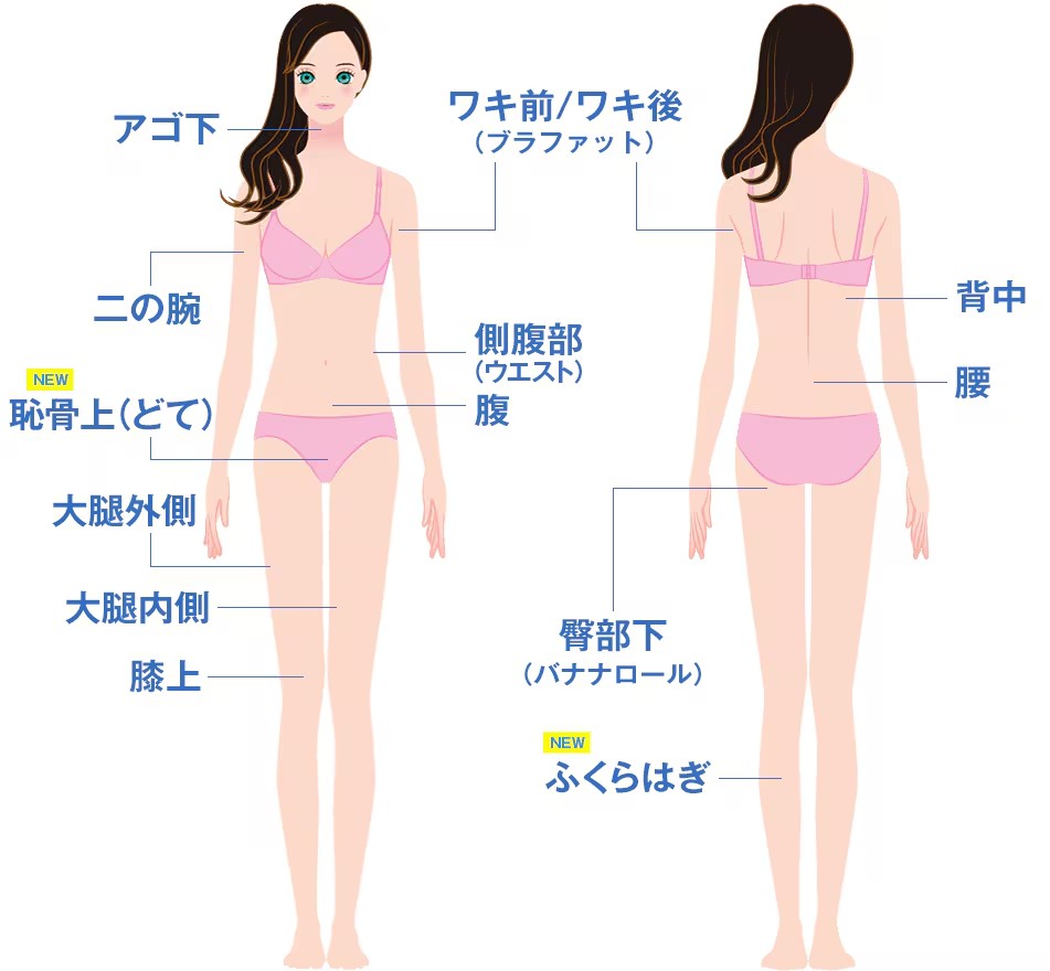 湘南美容クリニック